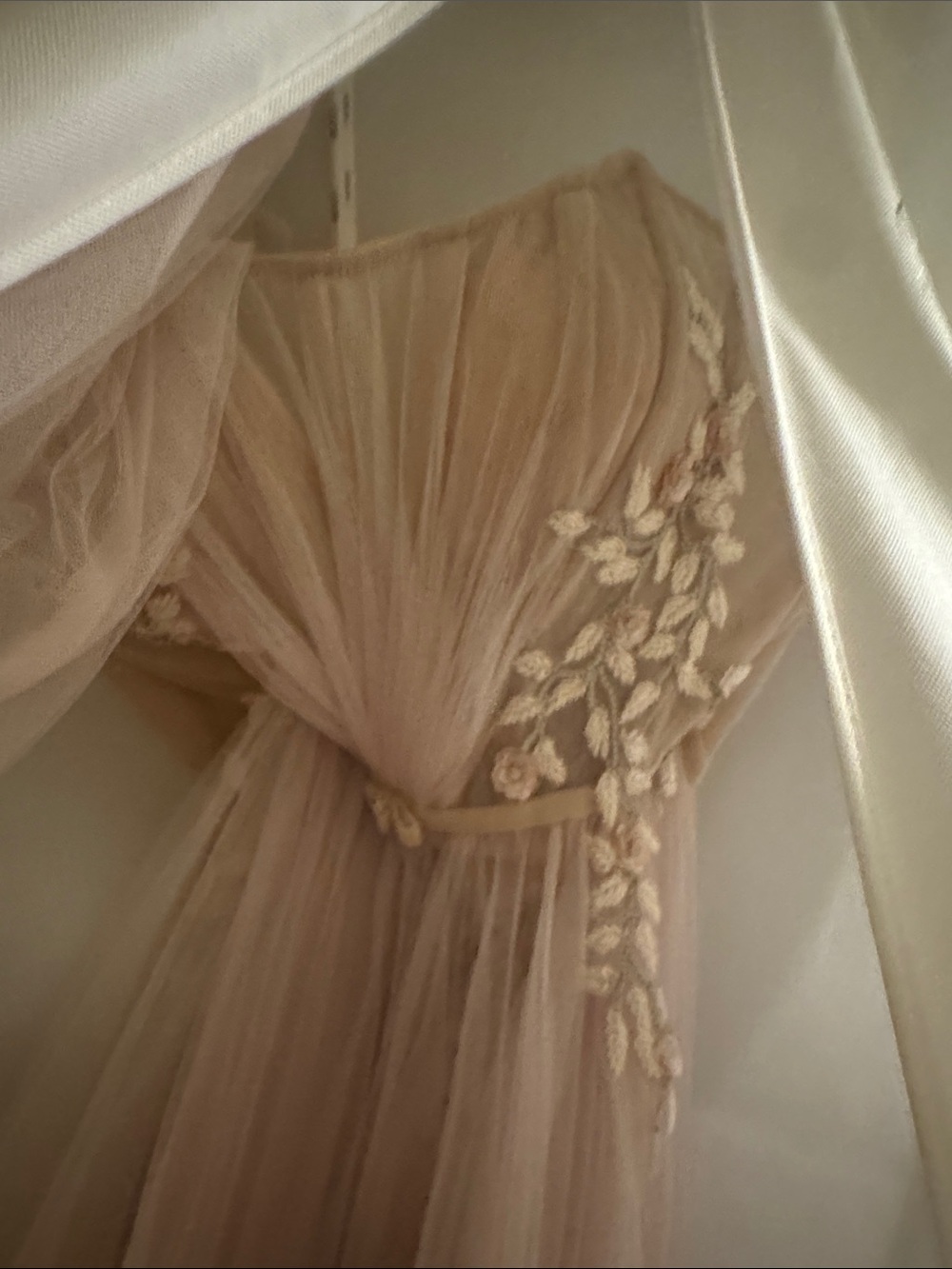 Sheer Off-Shoulder Tulle Gown in Champagne - Picture 9 of 10